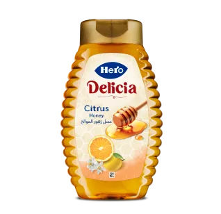 Hero Delicia Citrus Honey Squeeze- 450 gm