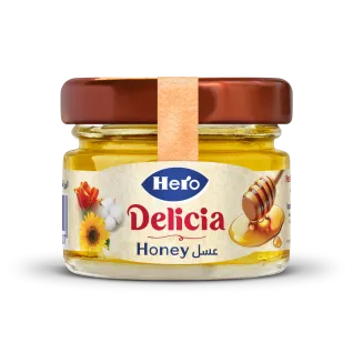 Honey Mini Jar -28.3 gm